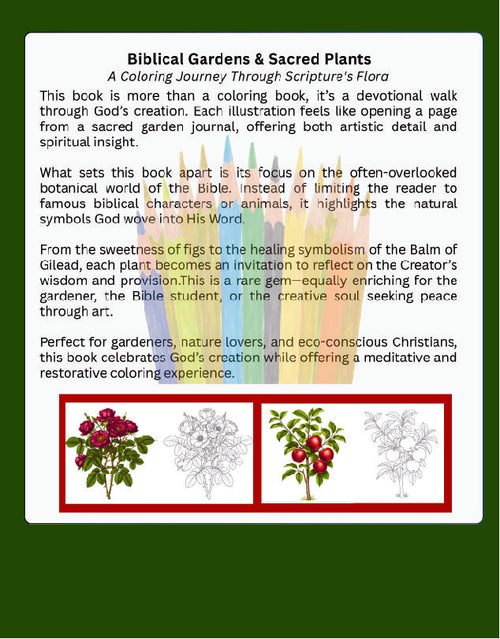 Biblical Gardens & Sacred Plants: Christian Coloring Book